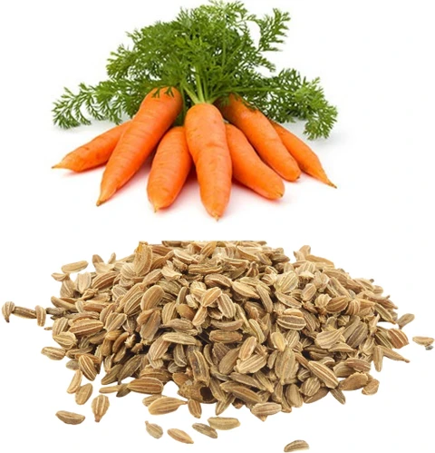 Carrot F1 Hybrid Seeds (گاجر)