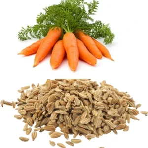 Carrot Seeds (گاجر)