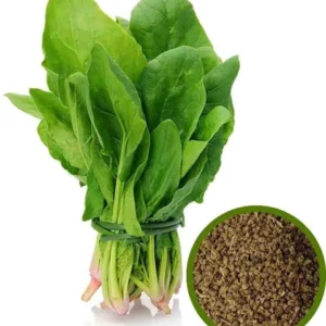 Spinach F1 Hybrid Seeds (پالک)
