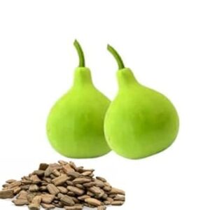 Round Gourd Seeds (گول لوکی)