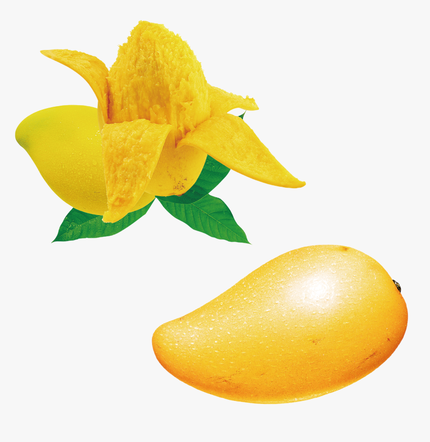 Mango Seeds (آم)