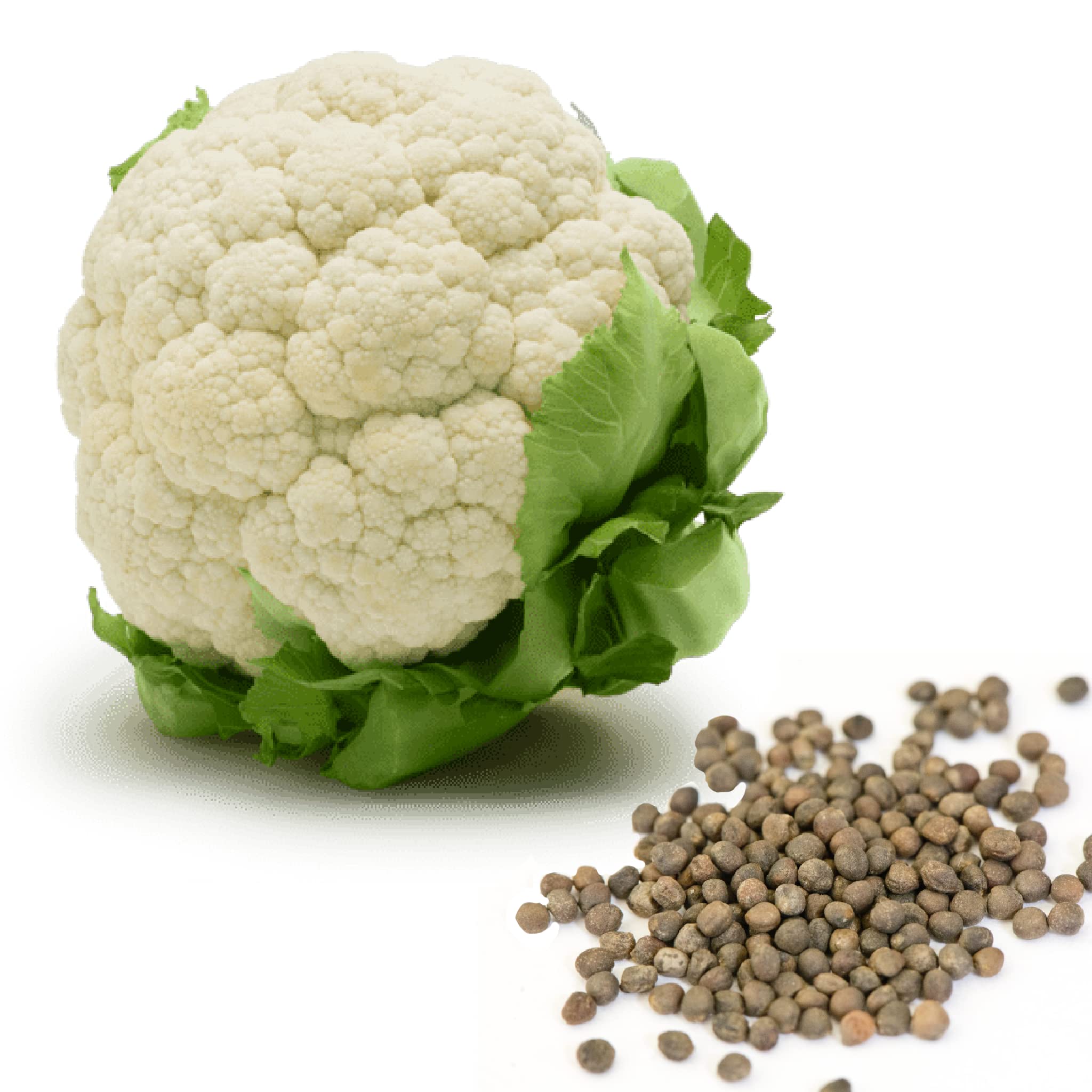 Cauliflower F1 Hybrid Seeds (پھول گوبھی)