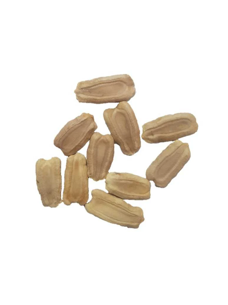 Bottle Gourd Seeds (لوکی)