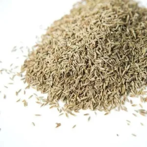 Lettuce seeds (سلاد)