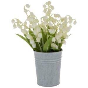Lily of the Valley (لِلی آف دی ویلی)