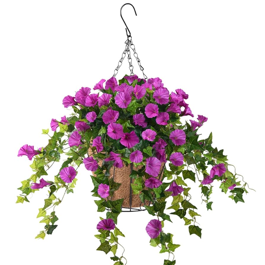 Petunia (پیٹونیا)