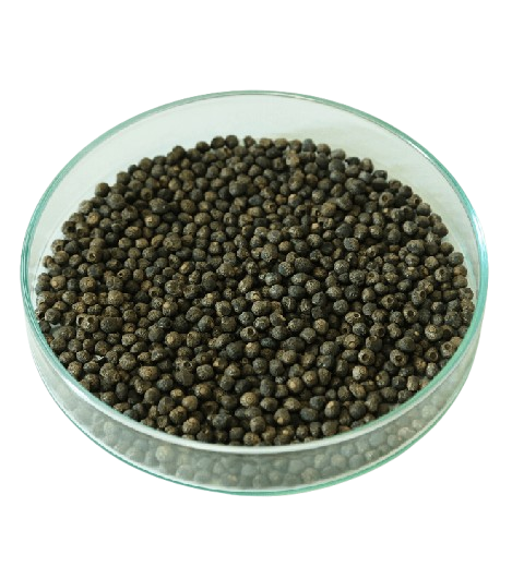 Banana Seeds (کیلا)