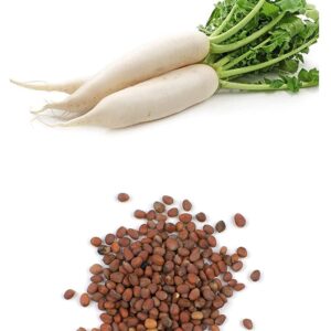 Radish Seeds (مولی)