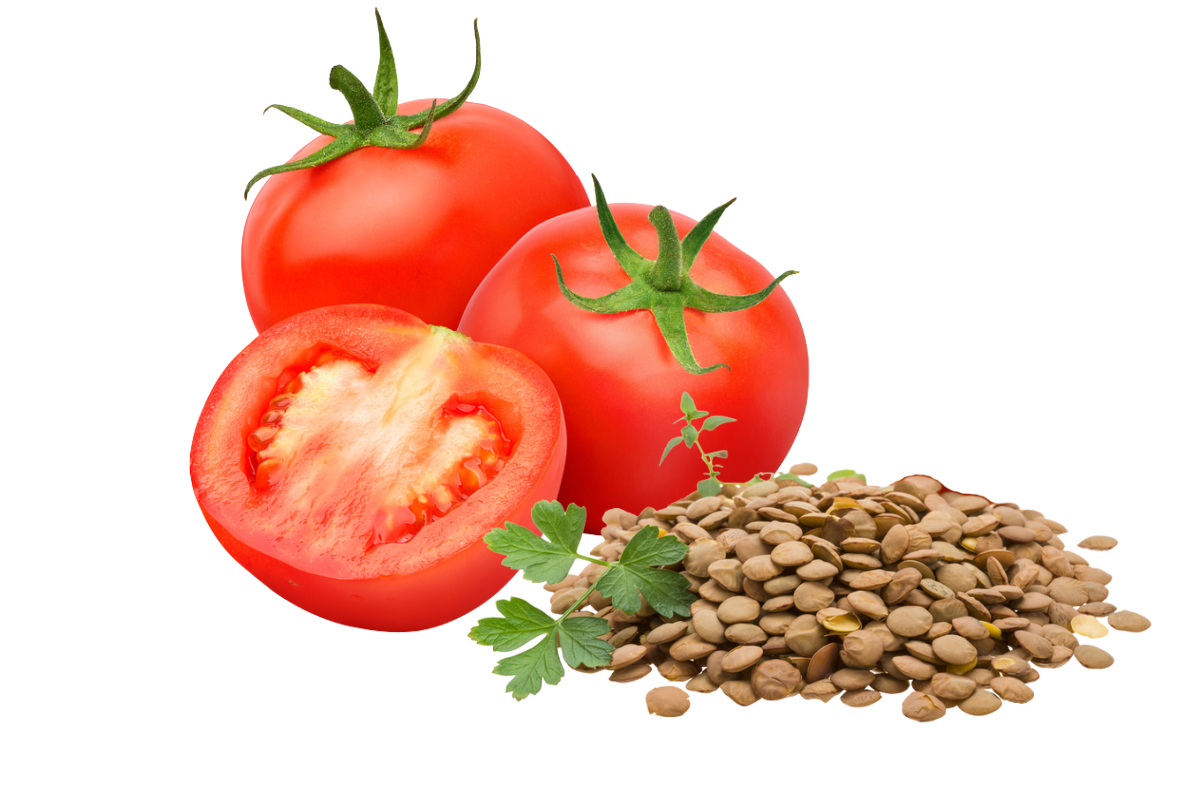Tomato F1 Hybrid Seeds (ٹماٹر )