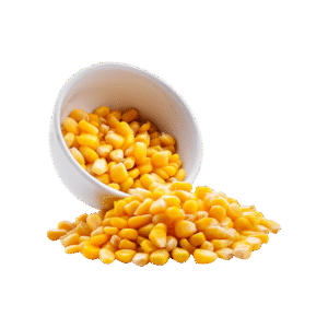 Sweet Corn (مکئی)
