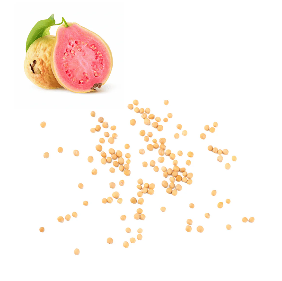 Guava Seeds (امرود