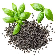 Basil Seeds (تلسی)