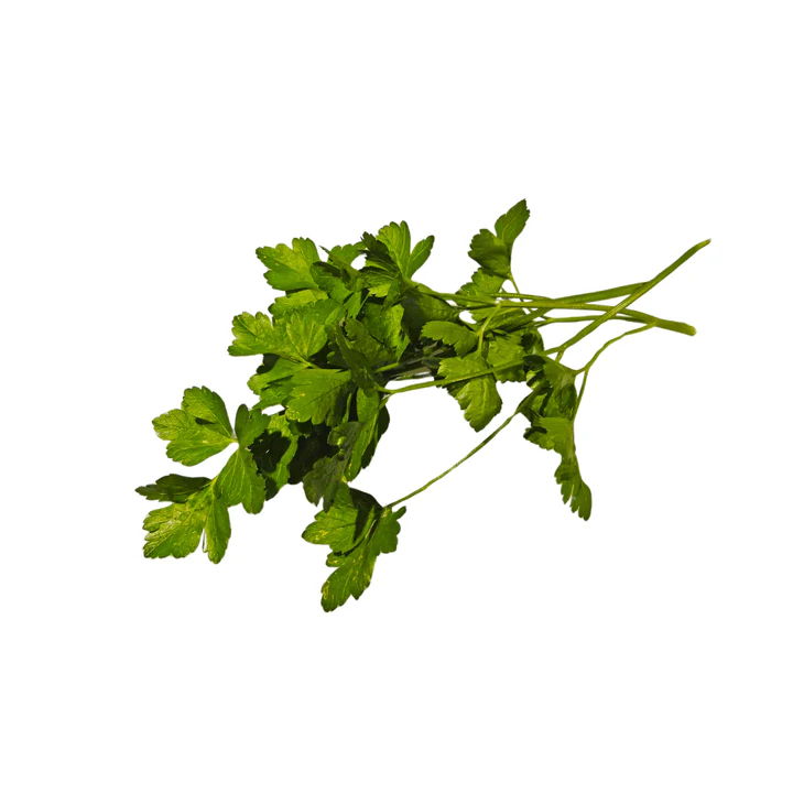 Parsley Seeds (اجوائن پتہ)