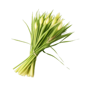 Lemongrass Seeds (لیمن گراس)